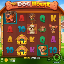 GramsBet - The Dog House Slot Game - Pragmatic Play Casino